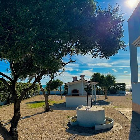 Edo House Anzio - Beachfront - Fronte Mare - Affittacamere Exteriér fotografie